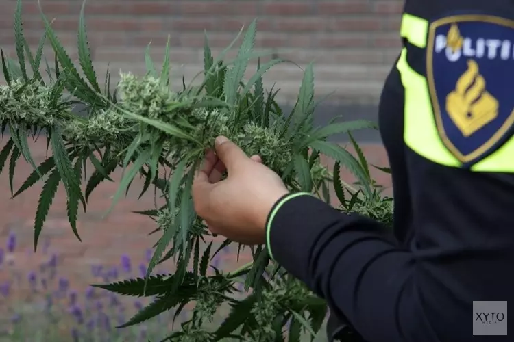 Burgemeester sluit drugspand aan Cantekoogweg