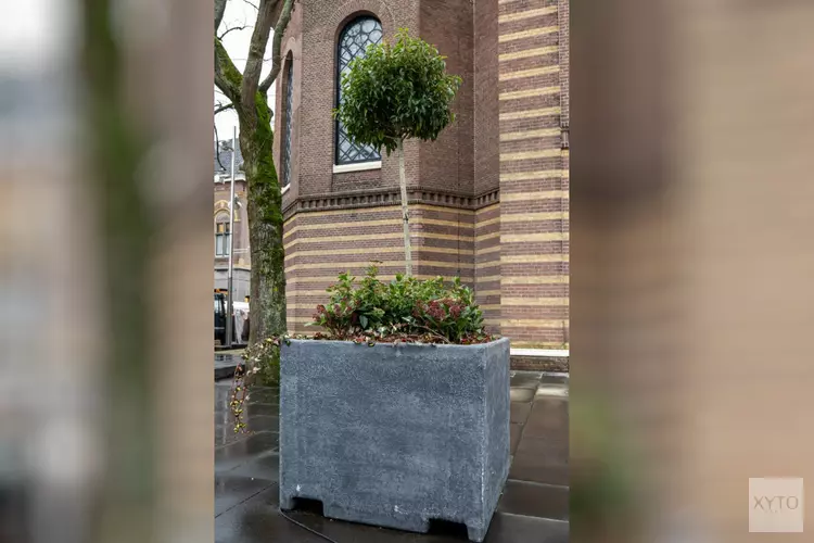 Mobiel groen zorgt voor fleurige straten