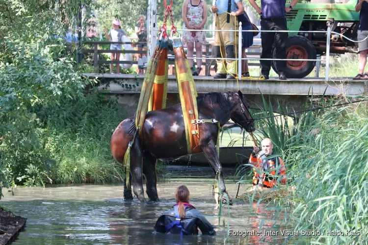 Brandweer uren bezig met paard te water