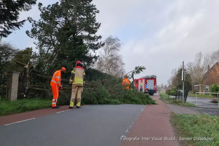 Boom door storm omgewaaid in Purmerland