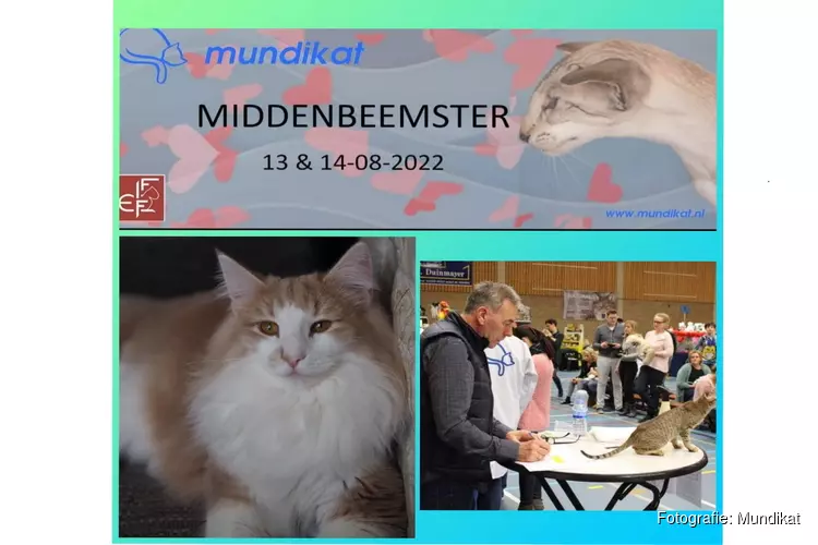 Zaterdag 13 en zondag 14 augustus 2022 organiseert Mundikat een katten show in Sportcentrum de Kloek in Middenbeemster