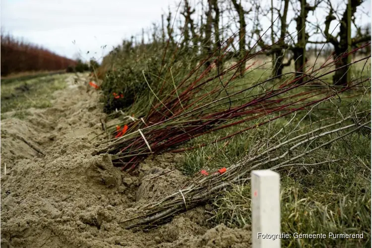 Nationale Klimaatweek: samen voor een beter klimaat