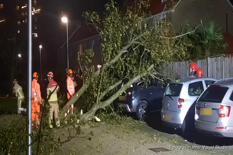 Boom valt op auto in Richard Holstraat in Purmerend