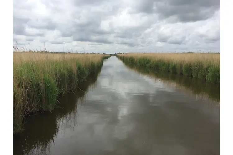 De verrassende natuur van het Oer-IJ landschap