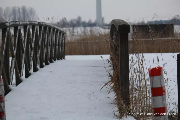 Dinsdag grote kans op flinke sneeuwval: mogelijk 5 centimeter