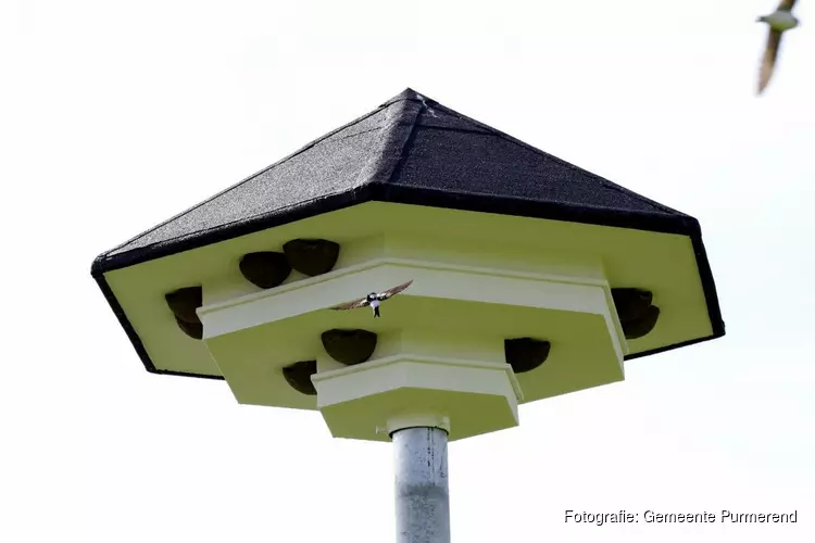 Verborgen groen rondom de Baanstee-Noord