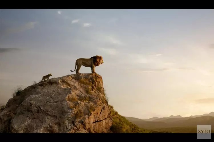 Speciale “prikkelvrije” voorstelling van The Lion King bij Vue Purmerend